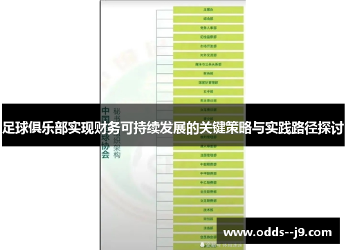 足球俱乐部实现财务可持续发展的关键策略与实践路径探讨
