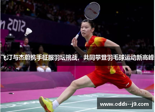 飞汀与杰蔚携手征服羽坛挑战，共同攀登羽毛球运动新高峰